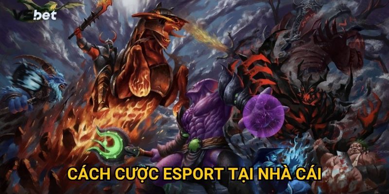 Tại sao cách cược esport tại nhà cái Vsbet lại khác biệt hoàn toàn? 8 Tại sao cách cược esport tại nhà cái Vsbet lại khác biệt hoàn toàn?