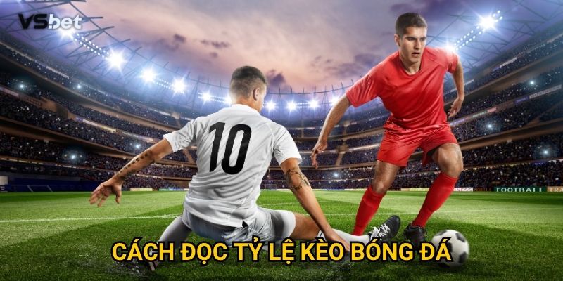 Tại sao phải nắm vững cách đọc tỷ lệ kèo bóng đá Vsbet trước khi cược?