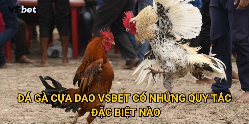Đá gà cựa dao Vsbet có những quy tắc đặc biệt nào?