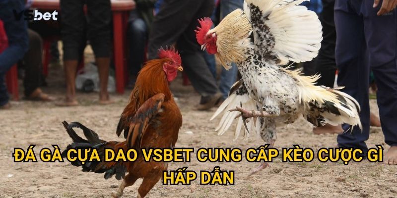 Đá gà cựa dao Vsbet cung cấp kèo cược gì hấp dẫn?