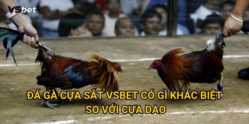 Đá gà cựa sắt Vsbet có gì khác biệt so với cựa dao?
