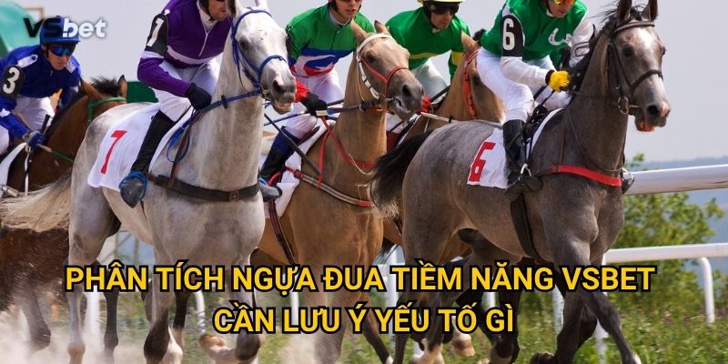 Phân tích ngựa đua tiềm năng Vsbet cần lưu ý yếu tố gì?