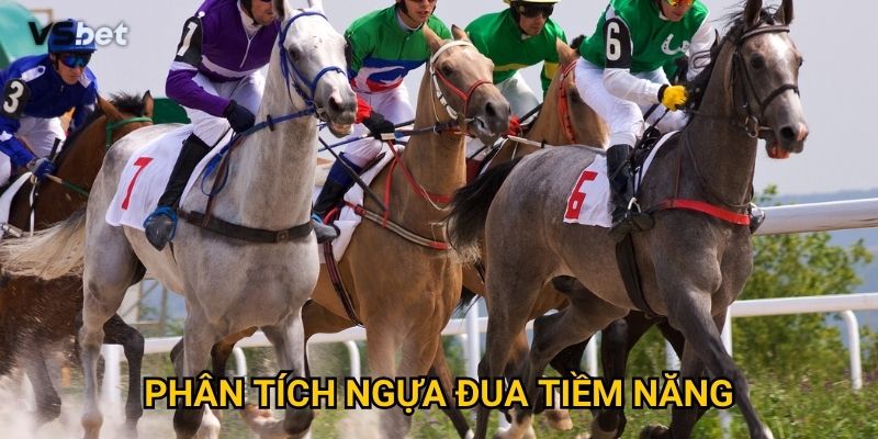 Có khó khăn gì khi phân tích ngựa đua tiềm năng Vsbet không? 1 Có khó khăn gì khi phân tích ngựa đua tiềm năng Vsbet không?
