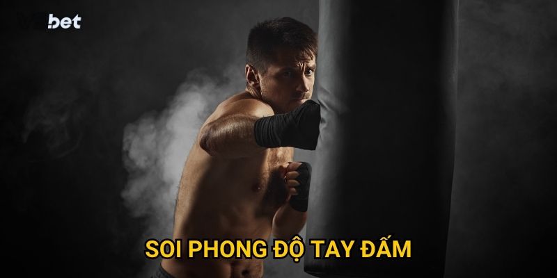 Vì sao soi phong độ tay đấm Vsbet lại quan trọng với cược thủ? 9 Vì sao soi phong độ tay đấm Vsbet lại quan trọng với cược thủ?